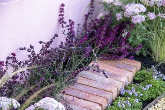 Seville brick pavers laid in soldier course without joints intrudes into a very narrow bed against white wall to create a feature.