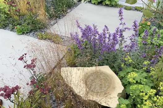 Close up through lush planting of large sidewalk 1200x1200 porcelain paving at BBC Gardeners World Live 2024.