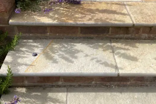 Flat pebble and plant shadows on Antique Yellow limestone bullnose step with brick riser. Design by Bo Cook, built by Simon Scott.