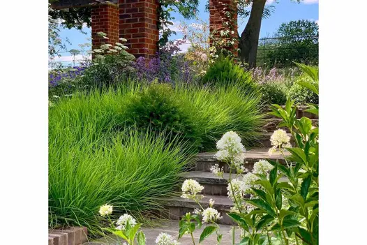 Brick pillars seen in background through lush foliage, tumbled black sandstone rock-faced steps seen through flowers.