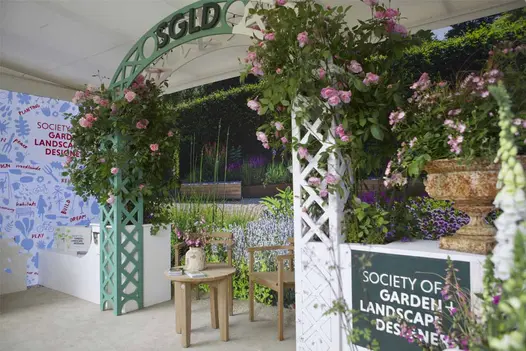 RHS Chelsea paving in Vicenza Sand Flamed Limestone, paired with oak seating and bold summer planting.