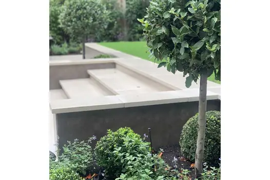 Opium Black Porcelain external cladding faces flank walls of steps between clipped bay trees and shrubs. Design by Waratah Gardens.