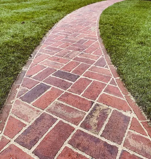 In mown lawn, curved path of Old English clay bricks, laid face-on in basketweave pattern with wide joints.