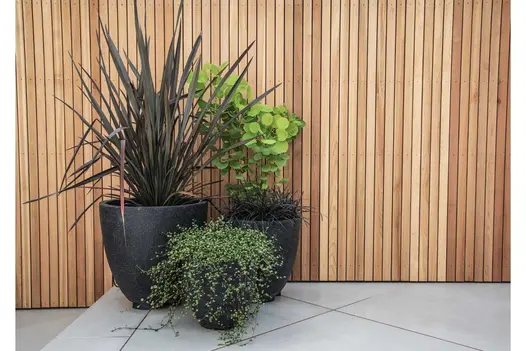 Artsy shot of 3 black planters containing different plants, Yard 1200x1200 Porcelain Paving used with wooden slatted panels.