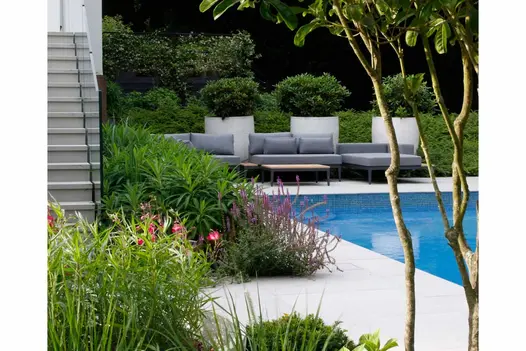 View of lush planting with pinks and purples alongside Yard 1200x1200 porcelain paving around a pool with a young tree in the foreground.