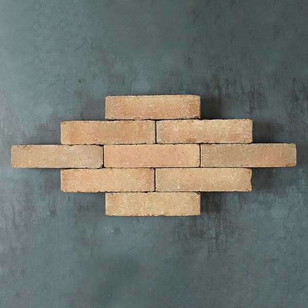 Westminster Clay Pavers swatch image