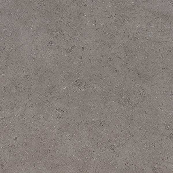 Egyptian Dark Grey Porcelain Paving swatch image