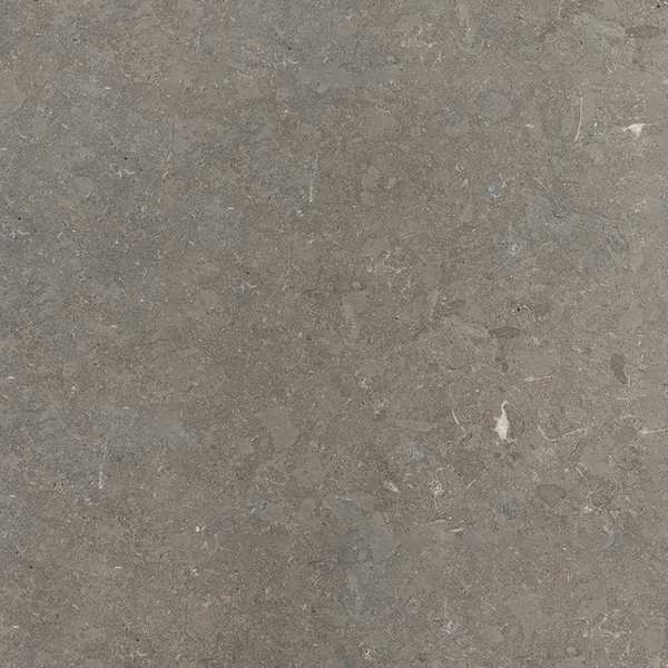 Arezzo Grey Flamed Limestone swatch image